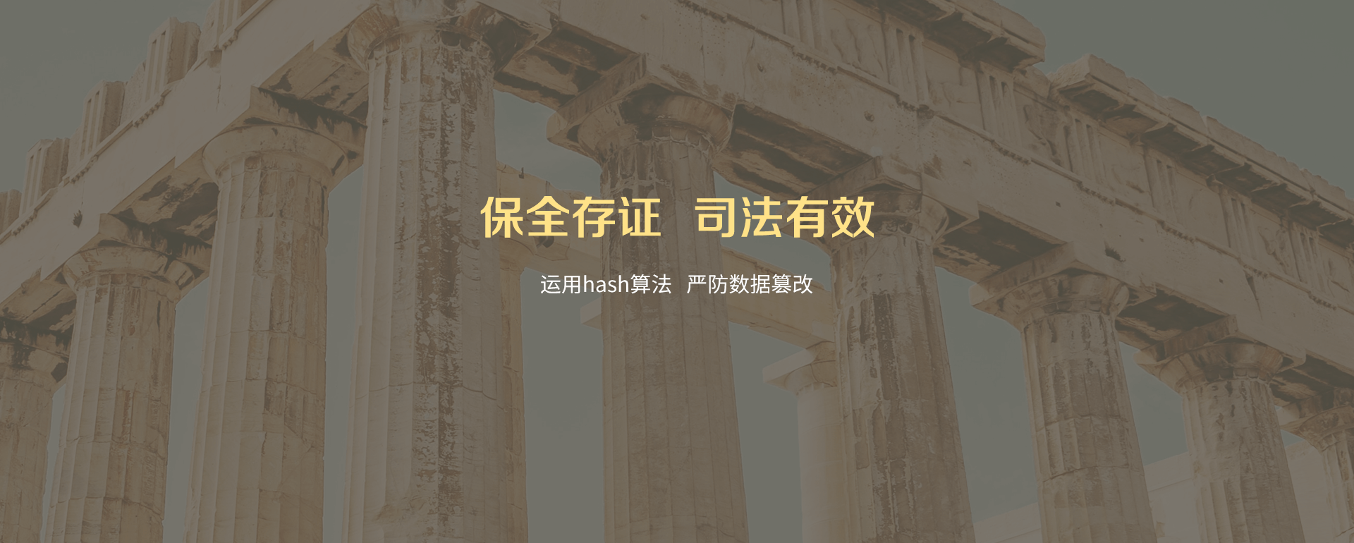 保全存证